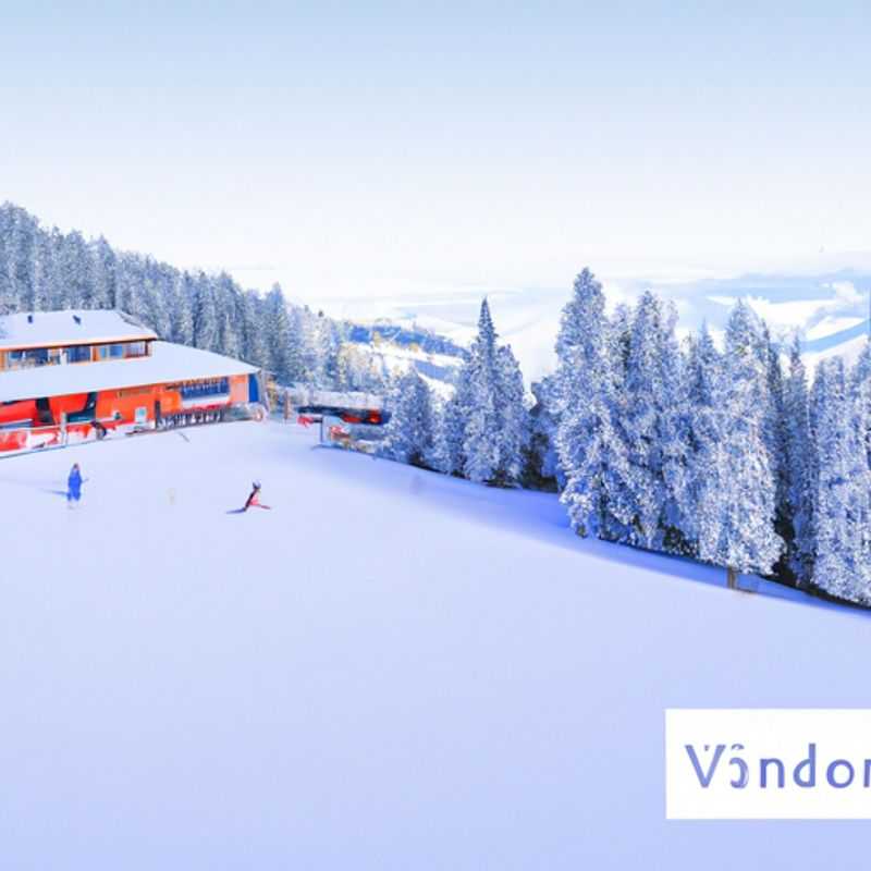 Visita al lago de Ginebra en Villars&#45;sur&#45;Ollon&#44; Suiza&#44; durante la temporada de esquí
