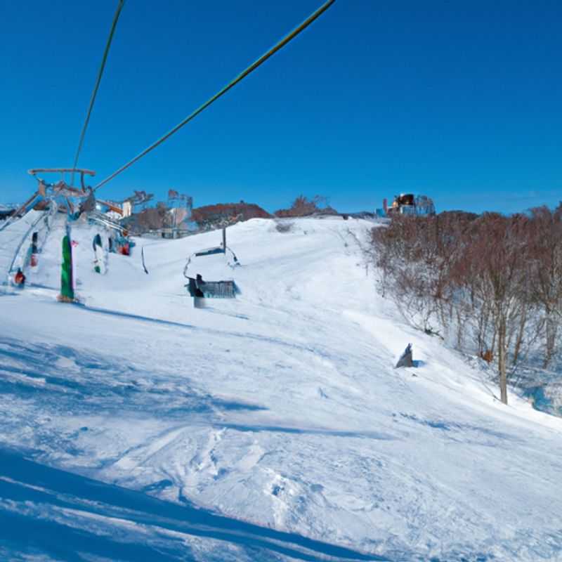 ¡Prueba la cocina local en Kutchan, el corazón culinario de Niseko United durante la temporada de esquí!